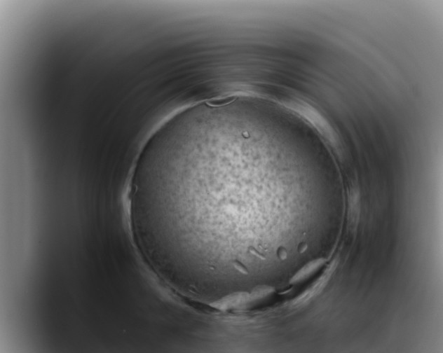X0000090430814200707201135