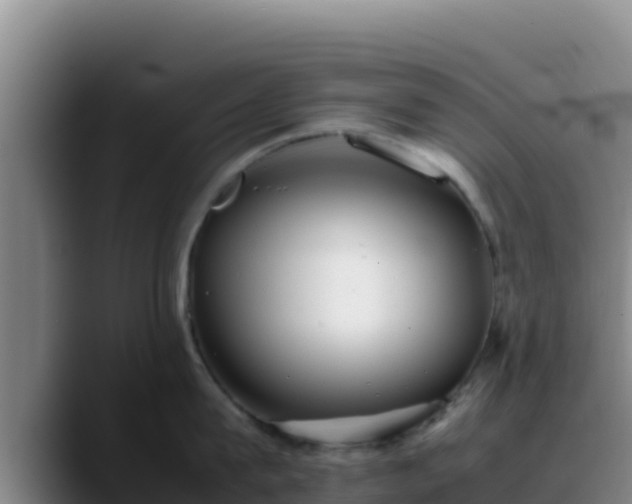 X0000090430815200707201135
