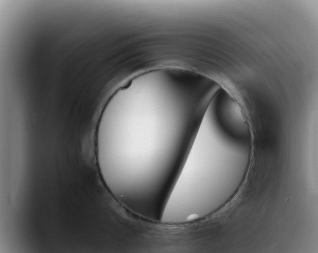 X0000090430816200707201135