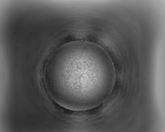 X0000090430817200707201134