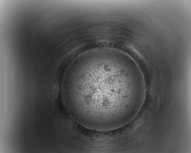 X0000090430821200707201134
