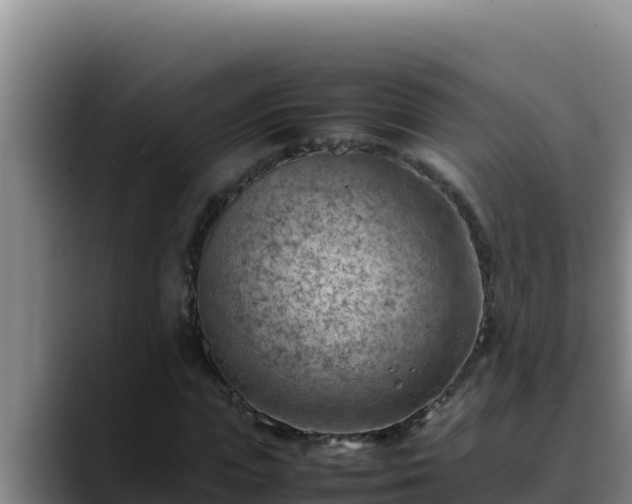 X0000090430823200707201134