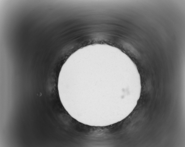 X0000090430824200707201134