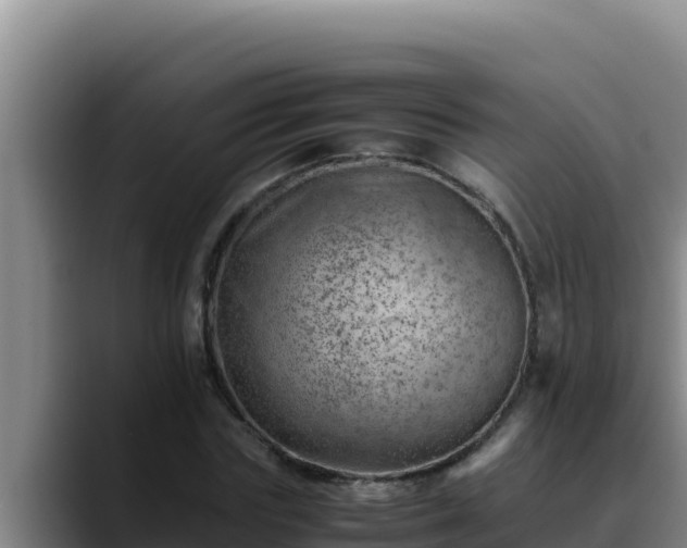 X0000090430827200707201134
