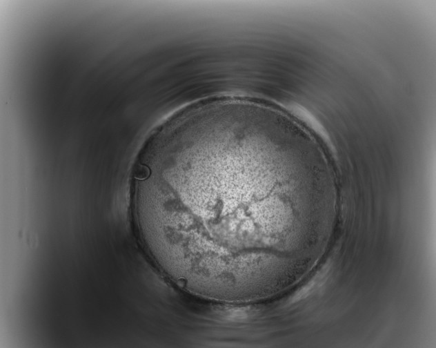 X0000090430831200707201134