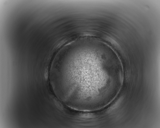 X0000090430833200707201134