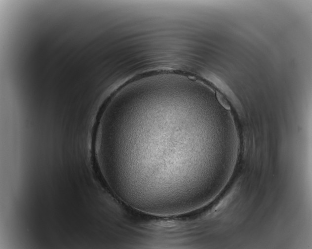 X0000090430834200707201134