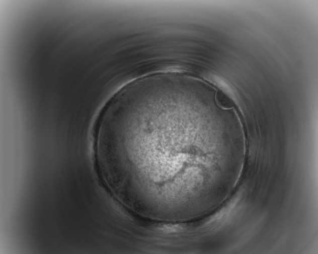 X0000090430835200707201134