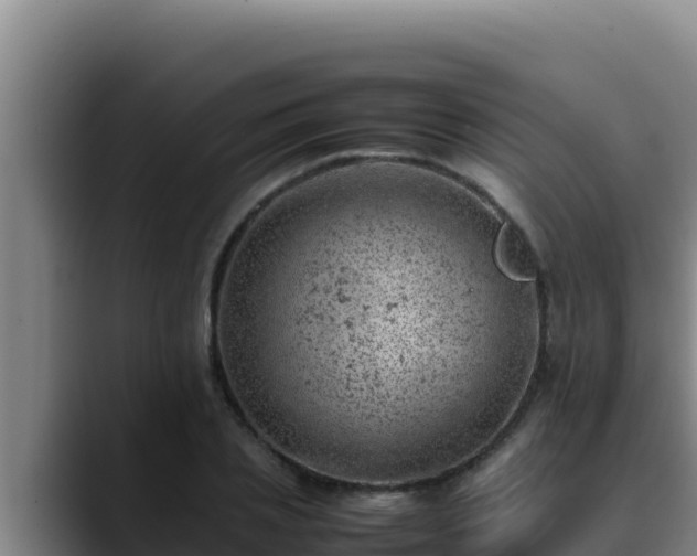 X0000090430837200707201135