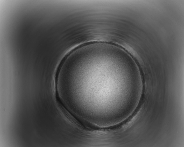 X0000090430838200707201135