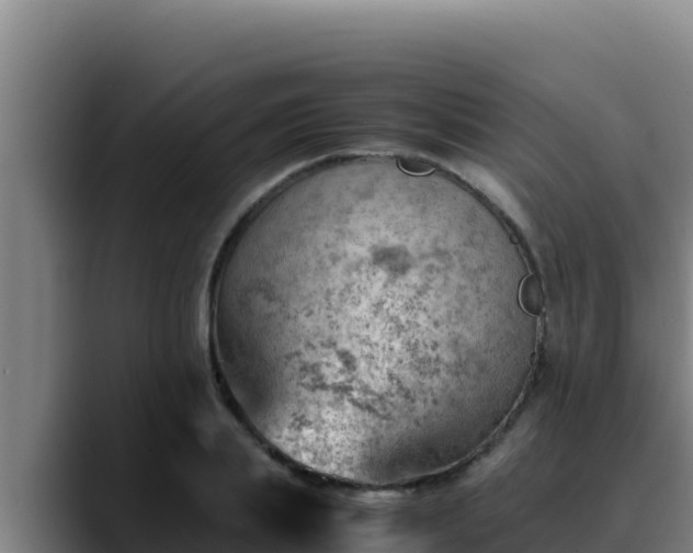 X0000090430839200707201135