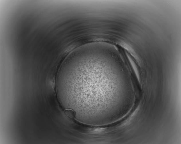 X0000090430841200707201135