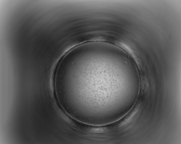 X0000090430843200707201135
