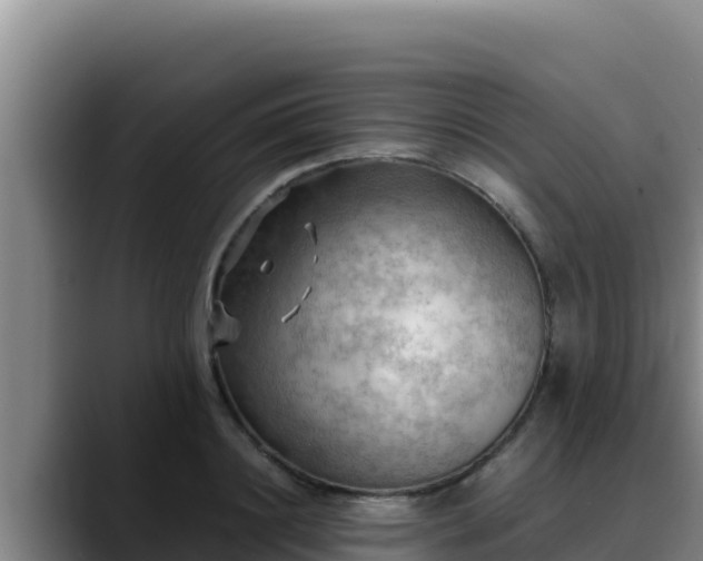 X0000090430844200707201135