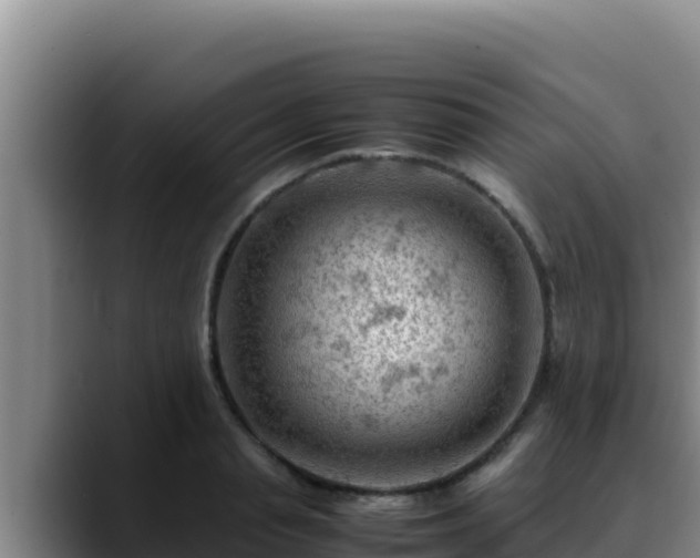 X0000090430845200707201135