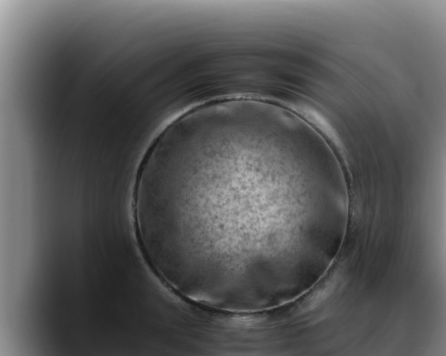 X0000090430847200707201135