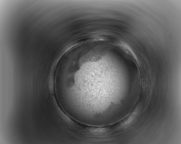 X0000090430851200707201135