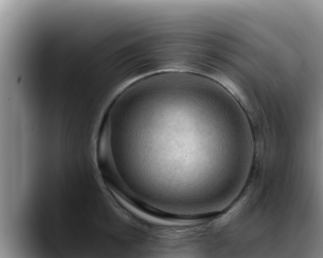 X0000090430854200707201135