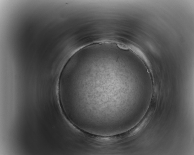 X0000090430855200707201135
