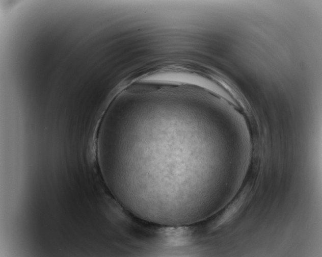 X0000090430858200707201135