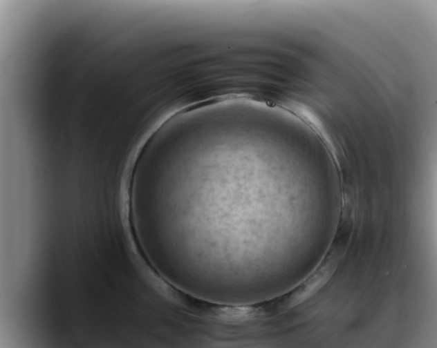 X0000090430859200707201135