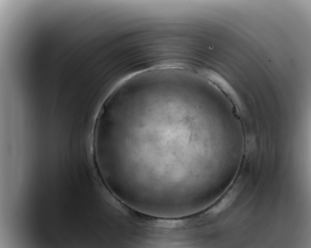 X0000090430860200707201135