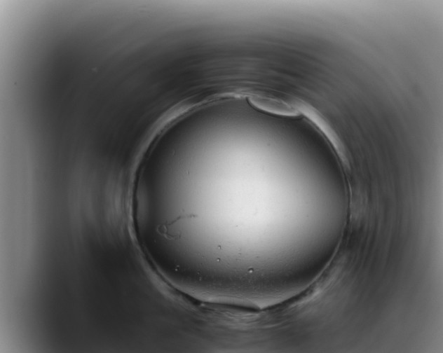 X0000090430861200707201135