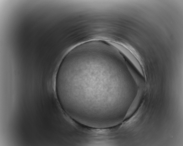 X0000090430862200707201135