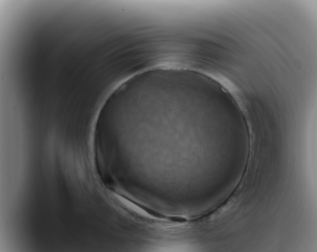 X0000090430864200707201135