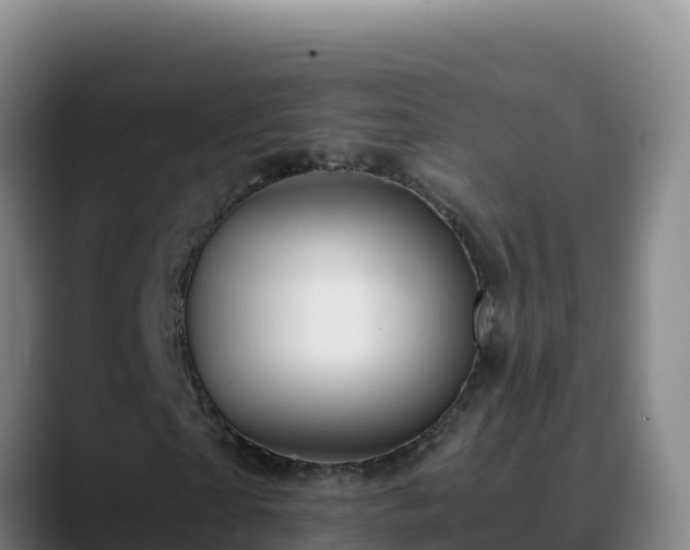 X0000090430865200707201134
