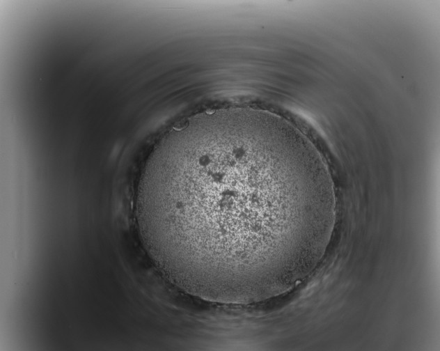 X0000090430871200707201134
