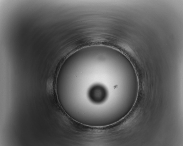 X0000090430873200707201134