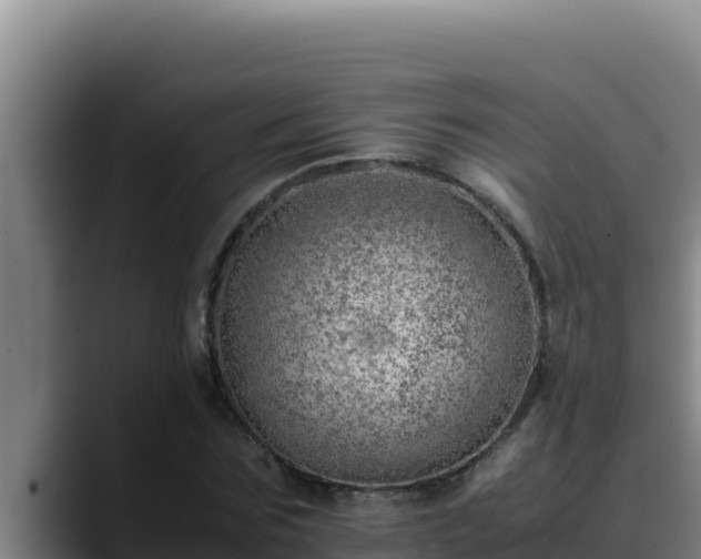 X0000090430875200707201134