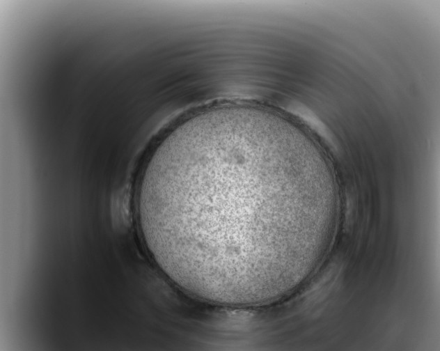 X0000090430878200707201134