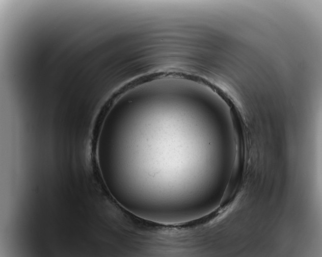 X0000090430880200707201134