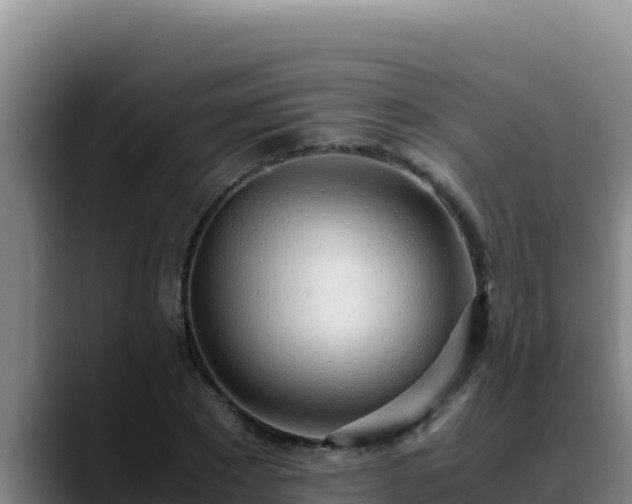 X0000090430881200707201134