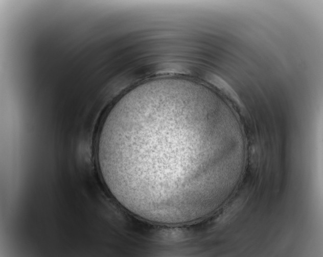 X0000090430882200707201134