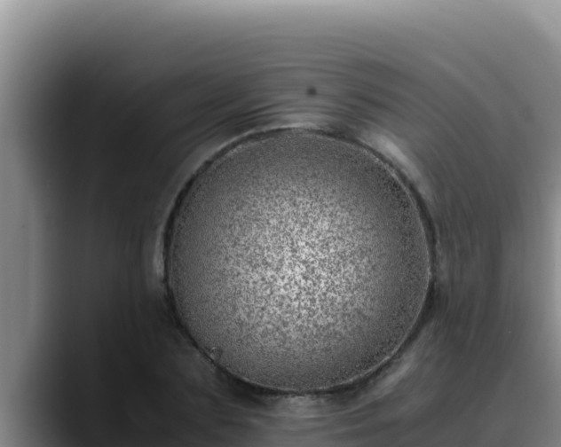 X0000090430883200707201134