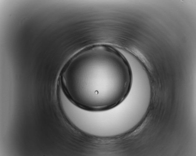 X0000090430884200707201134