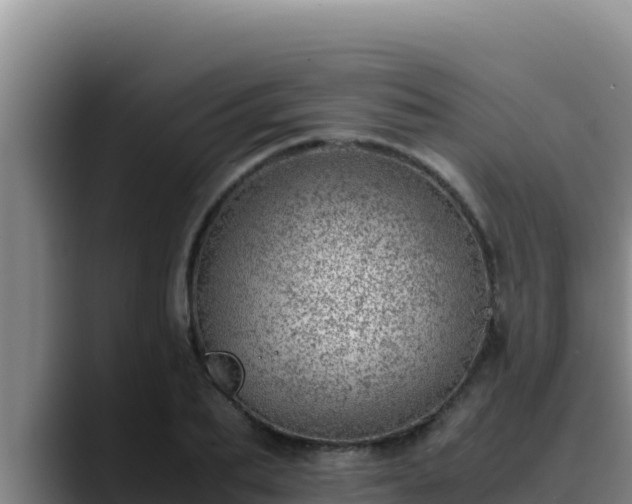 X0000090430887200707201134