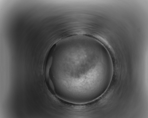 X0000090430889200707201134