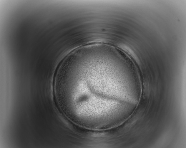 X0000090430890200707201134