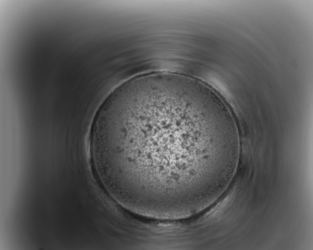 X0000090430891200707201134