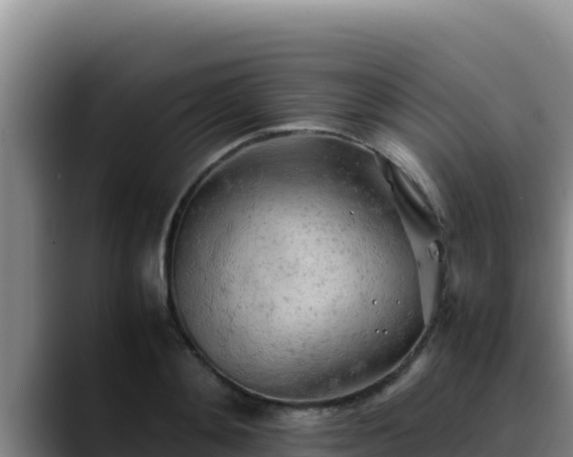 X0000090430892200707201134