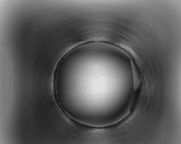X0000090430894200707201134