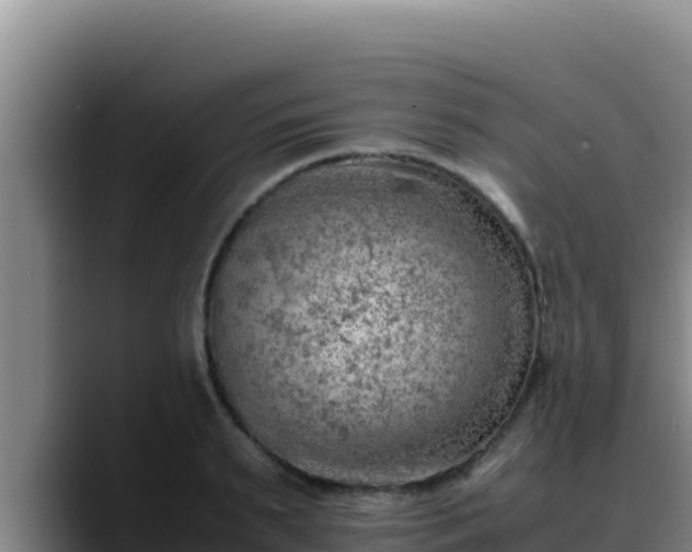 X0000090430895200707201134