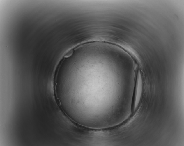 X0000090430896200707201134
