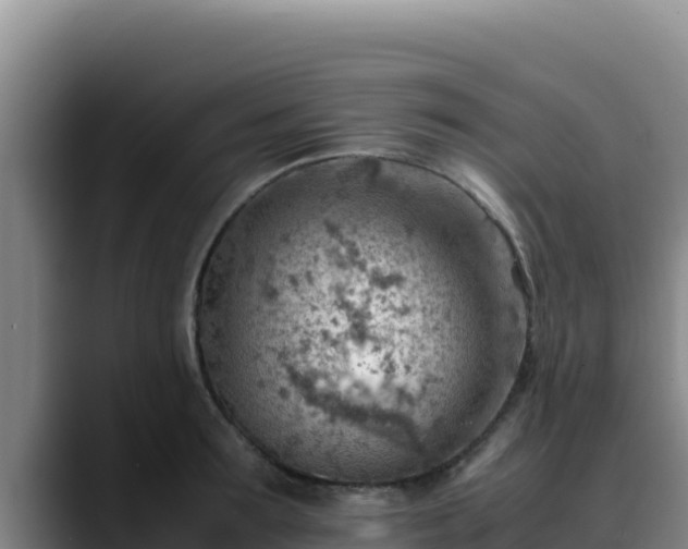 X0000090430899200707201134