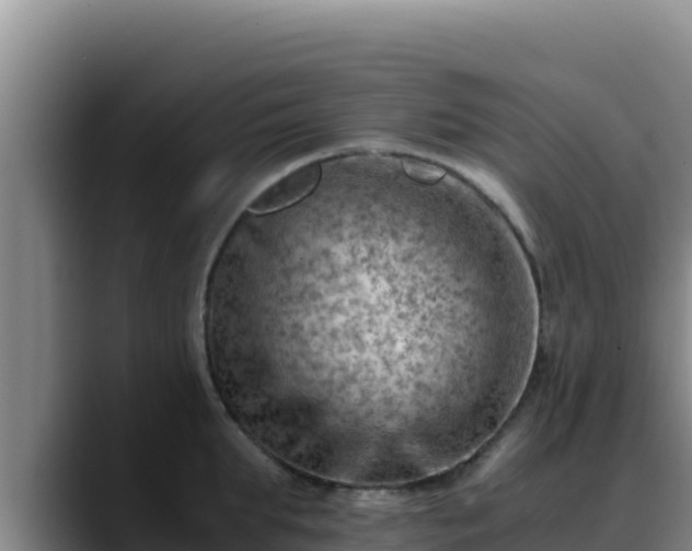 X0000090430903200707201134