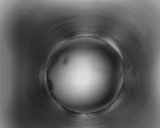 X0000090430906200707201134